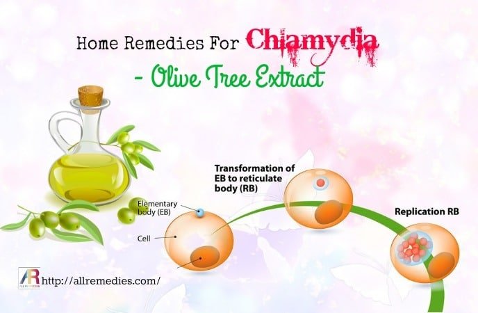 6 Home Remedies For Chlamydia
