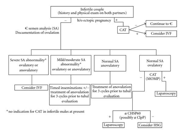 A proposed algorithm for use of chlamydial antibody ...