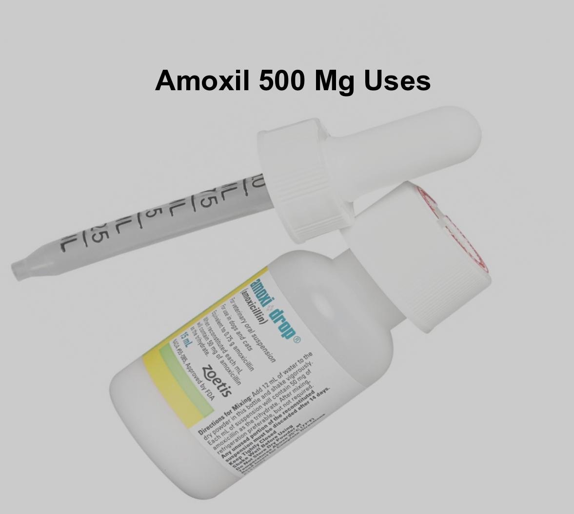 How often to take amoxicillin 500mg for tooth infection ...