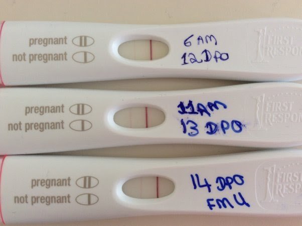 Should I Get A Positive Pregnancy Test 14 Dpo
