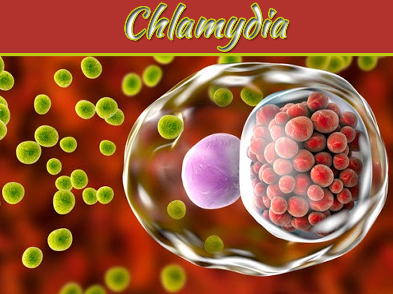 What Is Chlamydia? Symptoms And Treatment Options For ...